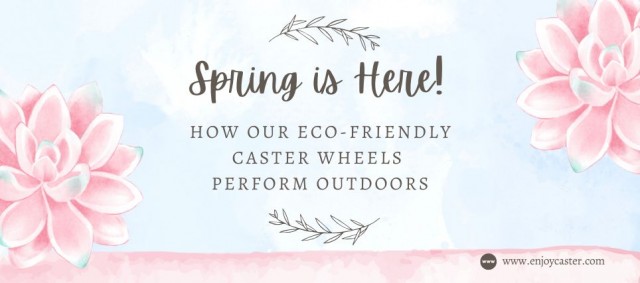 spring